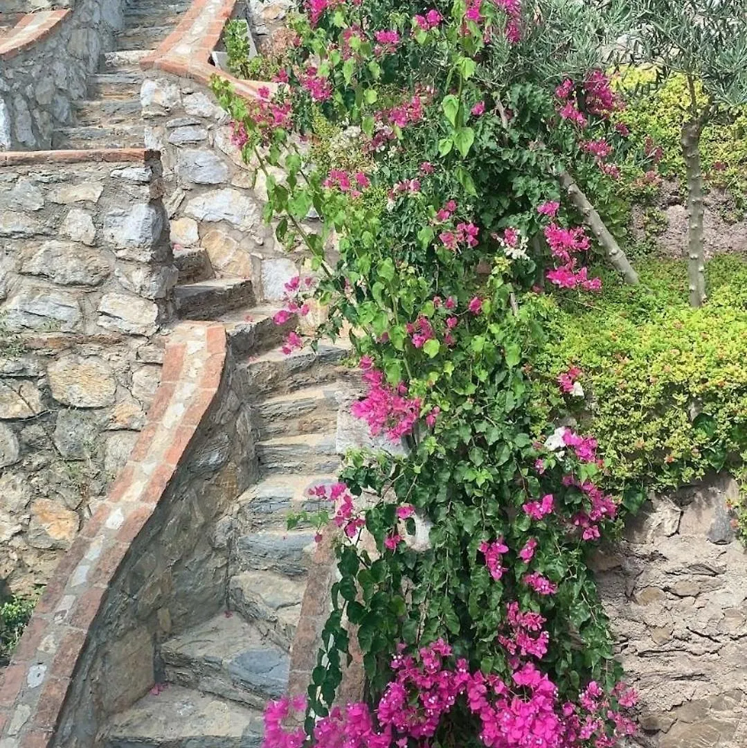 Sevinc Papatya House Villa Milas 0*,