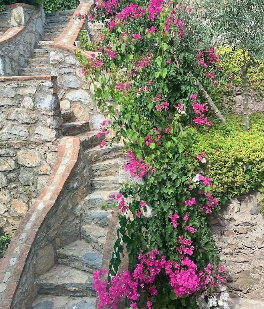 Milas Sevinc Papatya House 빌라